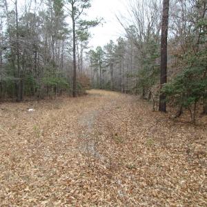 Photo of SOLD!!  55 Acres of Hunting and Timber Land with Home Site in Surry County VA!
