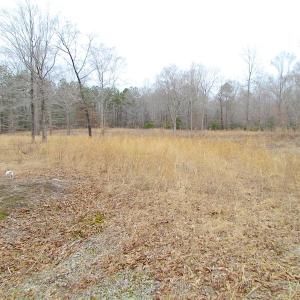 Photo of SOLD!!  55 Acres of Hunting and Timber Land with Home Site in Surry County VA!
