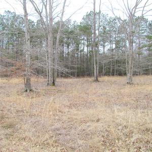 Photo of SOLD!!  55 Acres of Hunting and Timber Land with Home Site in Surry County VA!