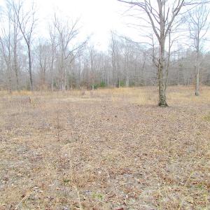 Photo of SOLD!!  55 Acres of Hunting and Timber Land with Home Site in Surry County VA!
