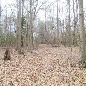 Photo of SOLD!!  55 Acres of Hunting and Timber Land with Home Site in Surry County VA!