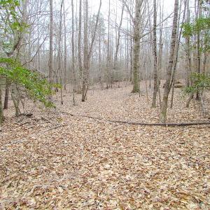 Photo of SOLD!!  55 Acres of Hunting and Timber Land with Home Site in Surry County VA!