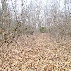 Photo of SOLD!!  55 Acres of Hunting and Timber Land with Home Site in Surry County VA!