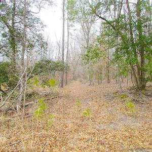 Photo of SOLD!!  55 Acres of Hunting and Timber Land with Home Site in Surry County VA!