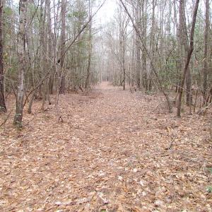 Photo of SOLD!!  55 Acres of Hunting and Timber Land with Home Site in Surry County VA!