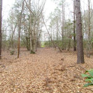 Photo of SOLD!!  55 Acres of Hunting and Timber Land with Home Site in Surry County VA!