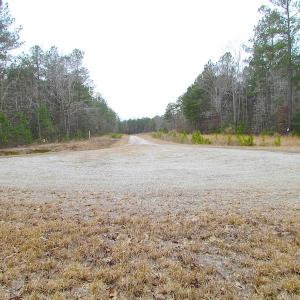 Photo of SOLD!!  55 Acres of Hunting and Timber Land with Home Site in Surry County VA!