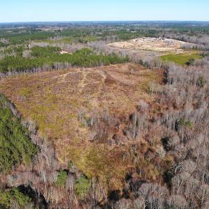 Photo of UNDER CONTRACT!  20.03 Acres of Hunting Land For Sale in Warren County NC!