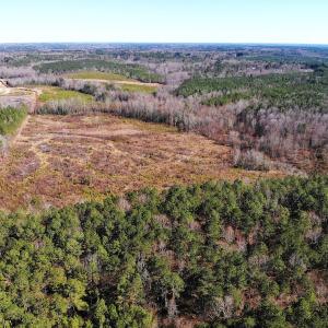 Photo of UNDER CONTRACT!  20.03 Acres of Hunting Land For Sale in Warren County NC!