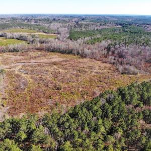 Photo of UNDER CONTRACT!  20.03 Acres of Hunting Land For Sale in Warren County NC!