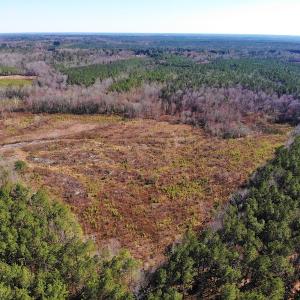 Photo of UNDER CONTRACT!  20.03 Acres of Hunting Land For Sale in Warren County NC!