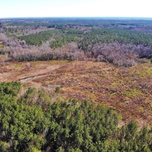 Photo of UNDER CONTRACT!  20.03 Acres of Hunting Land For Sale in Warren County NC!
