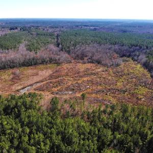 Photo of UNDER CONTRACT!  20.03 Acres of Hunting Land For Sale in Warren County NC!