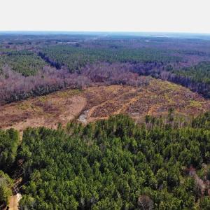 Photo of UNDER CONTRACT!  20.03 Acres of Hunting Land For Sale in Warren County NC!