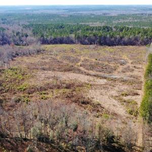 Photo of UNDER CONTRACT!  20.03 Acres of Hunting Land For Sale in Warren County NC!