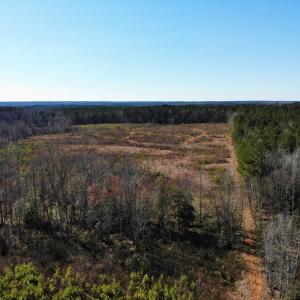 Photo of UNDER CONTRACT!  20.03 Acres of Hunting Land For Sale in Warren County NC!