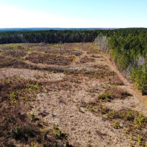 Photo of UNDER CONTRACT!  20.03 Acres of Hunting Land For Sale in Warren County NC!