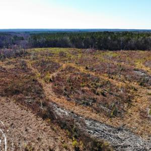 Photo of UNDER CONTRACT!  20.03 Acres of Hunting Land For Sale in Warren County NC!