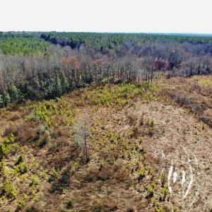 Photo of UNDER CONTRACT!  20.03 Acres of Hunting Land For Sale in Warren County NC!