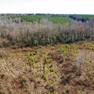 Photo of UNDER CONTRACT!  20.03 Acres of Hunting Land For Sale in Warren County NC!