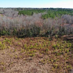 Photo of UNDER CONTRACT!  20.03 Acres of Hunting Land For Sale in Warren County NC!