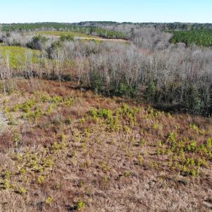 Photo of UNDER CONTRACT!  20.03 Acres of Hunting Land For Sale in Warren County NC!
