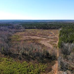 Photo of UNDER CONTRACT!  20.03 Acres of Hunting Land For Sale in Warren County NC!