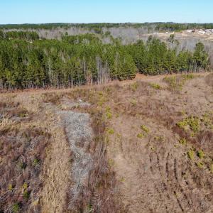 Photo of UNDER CONTRACT!  20.03 Acres of Hunting Land For Sale in Warren County NC!
