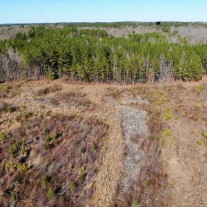 Photo of UNDER CONTRACT!  20.03 Acres of Hunting Land For Sale in Warren County NC!
