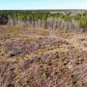 Photo of UNDER CONTRACT!  20.03 Acres of Hunting Land For Sale in Warren County NC!