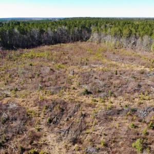 Photo of UNDER CONTRACT!  20.03 Acres of Hunting Land For Sale in Warren County NC!