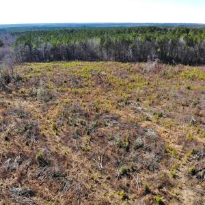 Photo of UNDER CONTRACT!  20.03 Acres of Hunting Land For Sale in Warren County NC!
