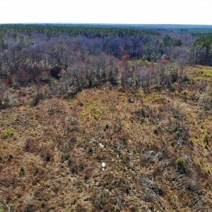 Photo of UNDER CONTRACT!  20.03 Acres of Hunting Land For Sale in Warren County NC!