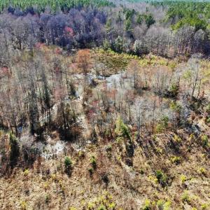 Photo of UNDER CONTRACT!  20.03 Acres of Hunting Land For Sale in Warren County NC!