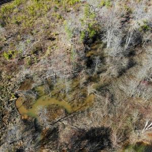 Photo of UNDER CONTRACT!  20.03 Acres of Hunting Land For Sale in Warren County NC!