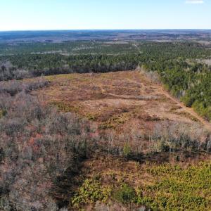 Photo of UNDER CONTRACT!  20.03 Acres of Hunting Land For Sale in Warren County NC!