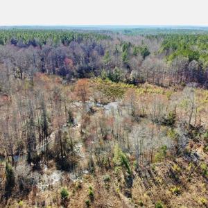 Photo of UNDER CONTRACT!  20.03 Acres of Hunting Land For Sale in Warren County NC!