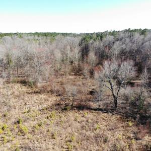 Photo of UNDER CONTRACT!  20.03 Acres of Hunting Land For Sale in Warren County NC!
