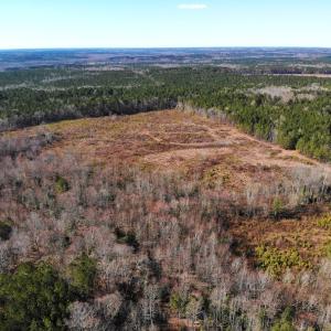 Photo of UNDER CONTRACT!  20.03 Acres of Hunting Land For Sale in Warren County NC!