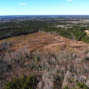 Photo of UNDER CONTRACT!  20.03 Acres of Hunting Land For Sale in Warren County NC!