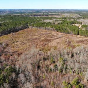 Photo of UNDER CONTRACT!  20.03 Acres of Hunting Land For Sale in Warren County NC!