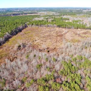 Photo of UNDER CONTRACT!  20.03 Acres of Hunting Land For Sale in Warren County NC!