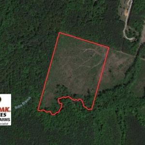 Photo of UNDER CONTRACT!  20.03 Acres of Hunting Land For Sale in Warren County NC!
