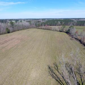 Photo of UNDER CONTRACT!  23 Acres of Farm and Hunting Land for Sale in Robeson County NC!