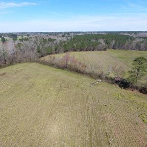 Photo of UNDER CONTRACT!  23 Acres of Farm and Hunting Land for Sale in Robeson County NC!