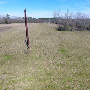 Photo of UNDER CONTRACT!  23 Acres of Farm and Hunting Land for Sale in Robeson County NC!