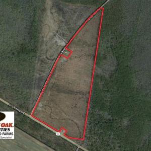 Photo of UNDER CONTRACT!   74.4 acres of Hunting and Timber Land for Sale in Dare County NC!