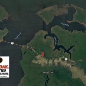 Photo of UNDER CONTRACT!   74.4 acres of Hunting and Timber Land for Sale in Dare County NC!