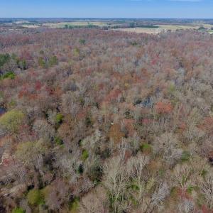 Photo of SOLD!  43.66 Acres of Creekfront Hunting Land For Sale in Greene County NC!