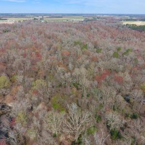 Photo of SOLD!  43.66 Acres of Creekfront Hunting Land For Sale in Greene County NC!